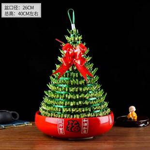 �m�ϰ��¼ҵľGֲ�����߸��F����ˮ��Gֲ�͏d�k���������҃ȃ���