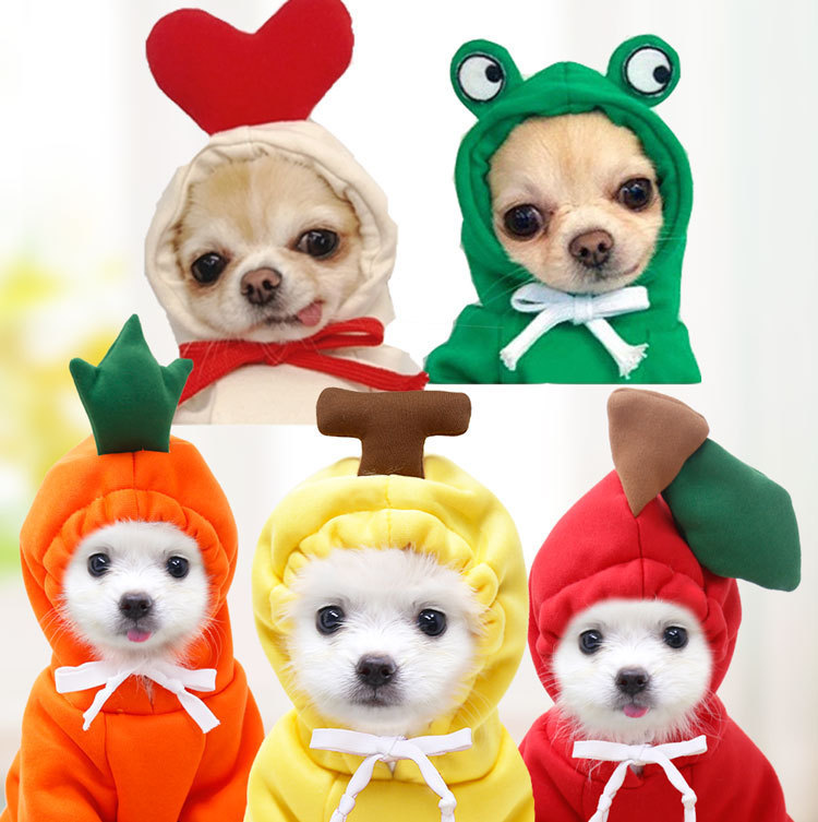 Otoño e Invierno mascota perro gato cubo Francés oso de peluche fruta fleece baño Ropa Decoración suministros fábrica al por mayor
