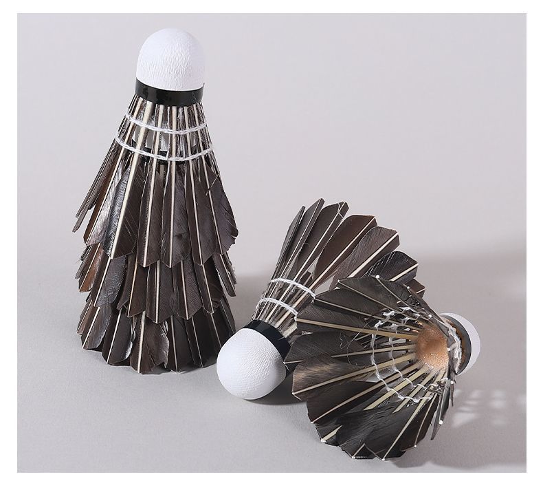 ca59e2d2-cc58-4fa9-a449-45f46c3b08ee.jpe