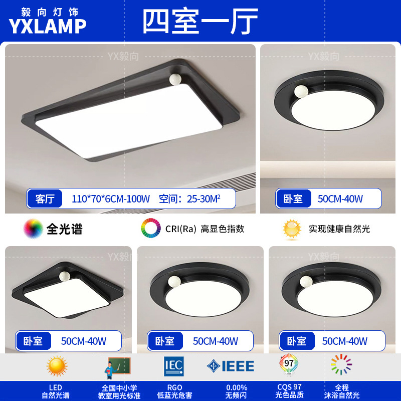 Luz de techo minimalista italiana sala de estar luz principal LED atmósfera creativa simple negro de alto nivel protección de ojos lámpara de dormitorio principal