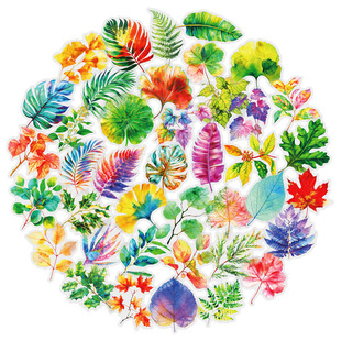 50����ɫ���~PET�N��ֲ����~DIY�֎��ز��b��N��ͯ�N����Ʒ