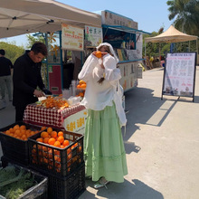 P2202韩系点点纱拼接花边半裙长88-不退换