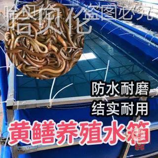 防水黄鳝帆布龟刀蓄加厚养殖刮布池养水池水产凡布鱼篷养水箱
