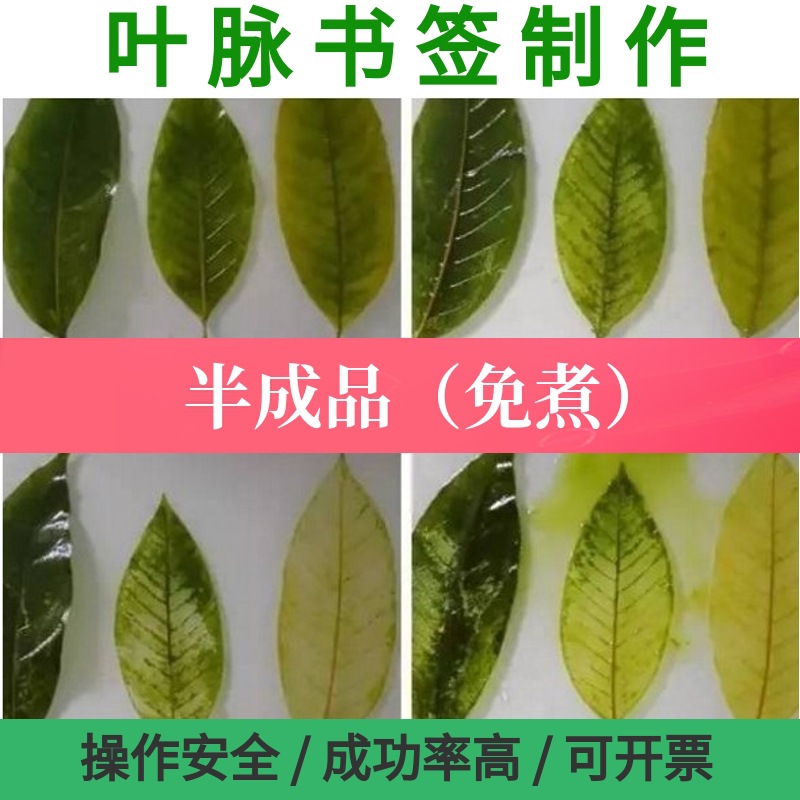 叶脉书签diy半成品 学生实验制作活动书签叶脉标本半成品团体活动