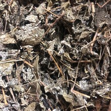 ���l ���D÷ ������ ���� ��¶÷ ľ��ί��� ������