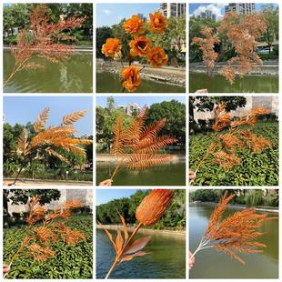 ��ɫϵ���滨 �Ƶ껨���ý��� ��c��Y���b�����피ٻ� ���l