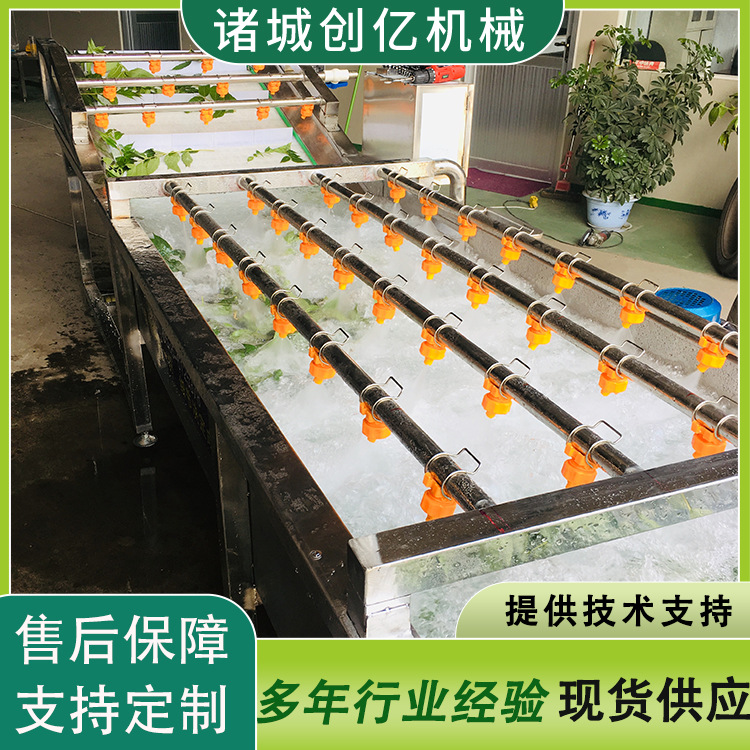 生菜清洗机 蒲公英花清洗加工流水线 全自动青梅果提升气泡清洗机