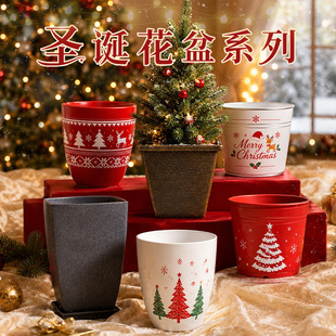 �羳�}�Q����tɫ�}�Q�仨�蹝���b�ѩ���}�Q����ѩ�˘�֬����