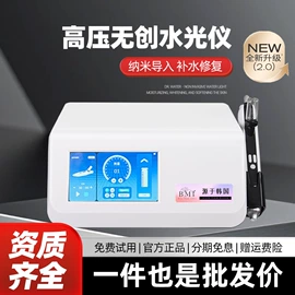 电子美容仪;美容导入仪;面罩美容仪