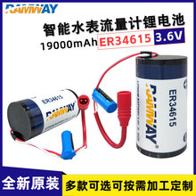 RAMWAY睿奕ER34615+0820 3.6V锂电池适用于智能水表燃气表流量计
