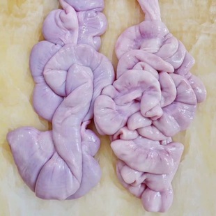 ���c 10kg/�� �i���c�i���c�i���c�i�ӌm�i̥�P����в��������l