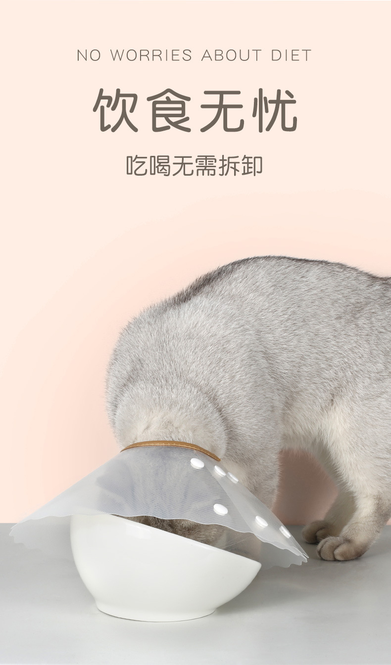 波浪伊丽莎白圈_04