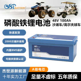48V100Ah磷酸铁锂电池电动车沙滩车高尔夫球车蓄电池大容量锂电池