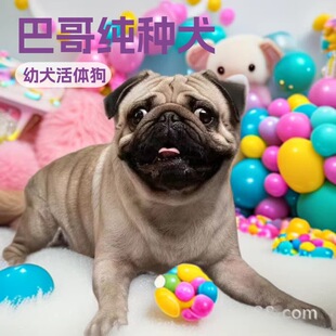 ���l�͸缃�NȮ��Ȯ���w��С��С��Ȯ����Ȯ��HȮ���pȮ�������