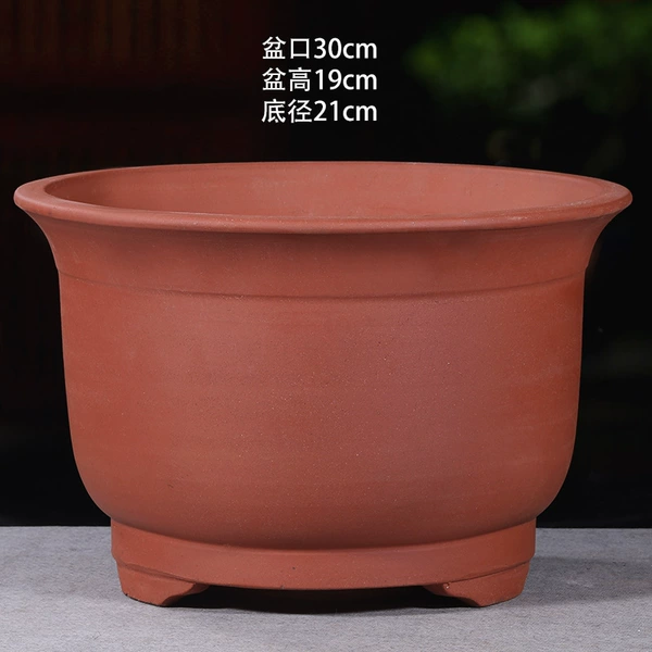 [红色 小马素盆30cm大号♢]
