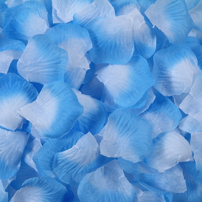 Blue and white petals (about 100 pieces)
