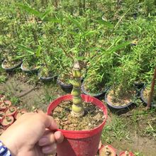 �������J���_�h��������҃���Ʒ��������С�~΢