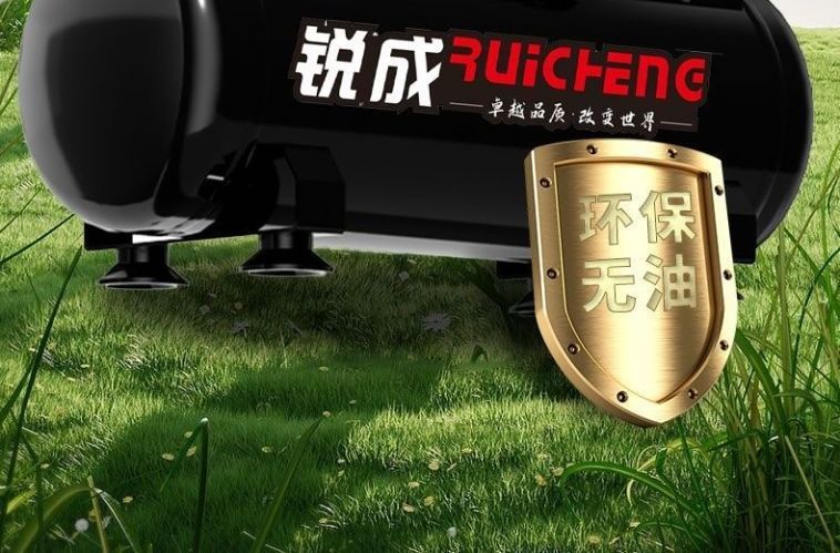 Ruicheng Air Pump Air Compressor Small Air Compressor Oil-Free Silent 220V Woodworking Spray Paint Air Pump