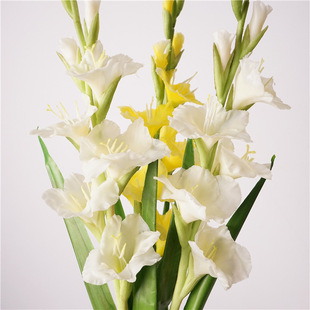 ��Ʒ�|��֦ܛ�z���m��Ʒ�|�Wʽ����bٻ��ҾӔ[�Ż�ˇ��c�쾰