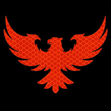 ���������ӰPET�������⾯ʾ�Nҹ�g��܇��ȫ��ʾ�ړ���܇�����N