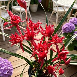 ���m�������溮�m�t�ຮ�m�������Ͱ��N�҃Ⱥ��B�����_��