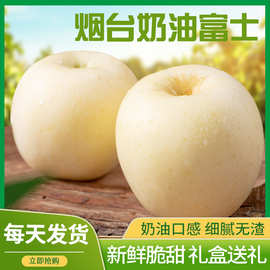 批发黄金奶油富士苹果新鲜水果栖霞黄色白色苹果包邮代发