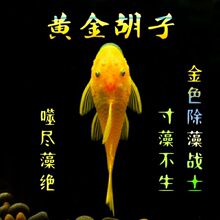 �����~ˮ��Ꭷ�^�p�~�����~�t�{���坍���󹤾��~�������