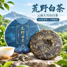 荒野白茶饼云南大雪山白茶200g茶饼批发
