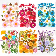 �ɻ��������l���ϰ��ֹ�diy���zѺ�������W�tins�NĘ����ֲ��˱�