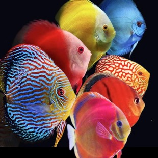 �߶˾��x�߲������~�^�p�~�Ꭷ�~��С�����~ؔ�����ӻ��w��ˮ�~��