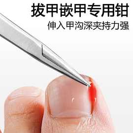 不锈钢拔2331专用钳子拔嵌甲钳镊夹子修脚工具直弯头细特尖