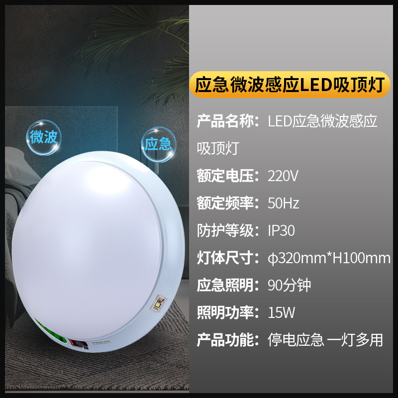 FSL foshan iluminación LED lámpara de techo de inducción de microondas pasillo entrada hall casa balcón lámpara de inducción
