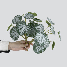 �͏d�����b�������GɫСֲ�� �҃�ֲ��b���12�^�����~