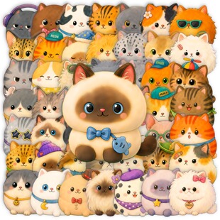 56��ins�Lܛ��؈��PET͸����ˮ�N�� �ɐ�Q���Ȍ�؈؈�֙C�b��N��