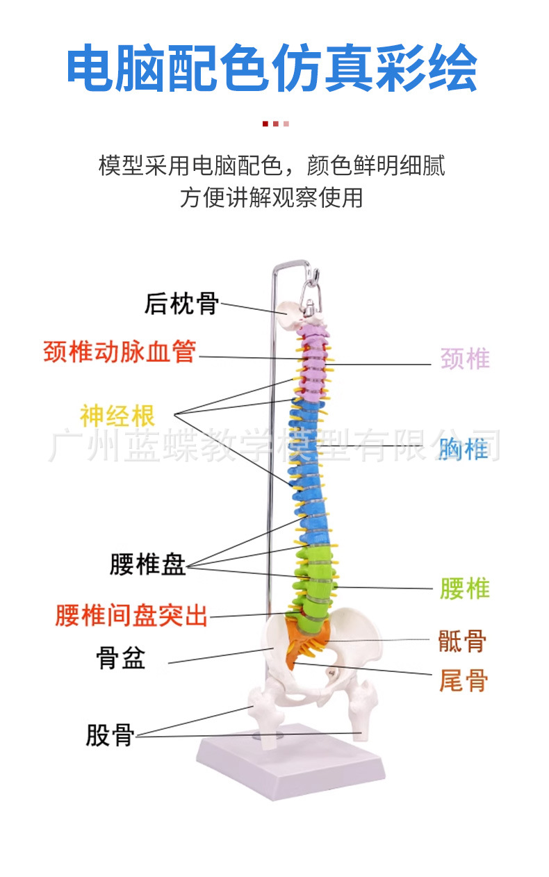 详情_05