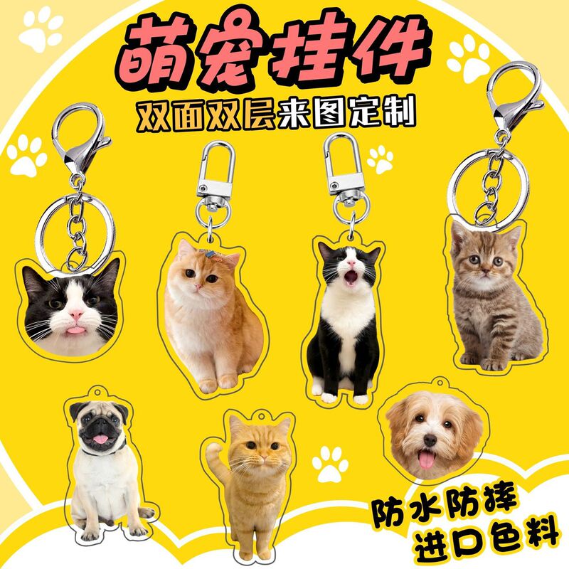 Xiaohongshu Pet Keychain Pendant Kitten and Dog Photo Souvenir Acrylic Double-sided Transparent Pendant Wholesale