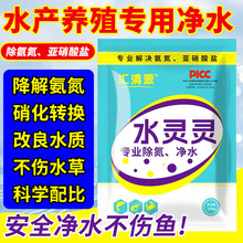 水产养殖专用水灵灵 降氨氮亚硝酸盐 净化水质调水稳水不伤鱼虾蟹