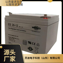 德國WING蓄電池ESL26-12 12V26AH直流屏 配電櫃 UPS/EPS電源配套
