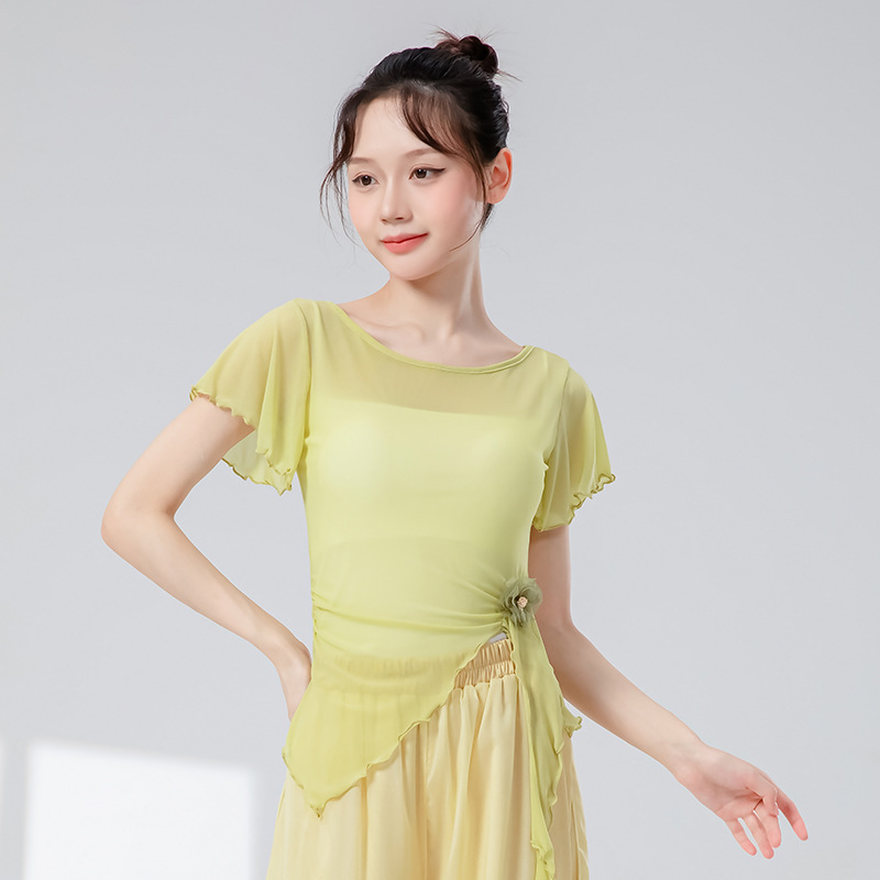 古典舞蹈服女新款钉花飘带修身短袖网纱花朵上衣飘逸演出练功服装|undefined