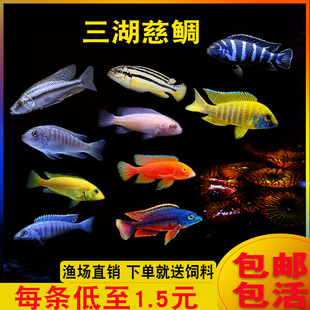 ���������R���~̹���s����ˮ̨ϵ�N��ȸ�җ�С�͟Ꭷ�^�p�~���w