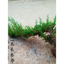 ����ӭ�������͵ذ��쾰�҃����L�����F�k�����Sɽ����ɾ��^���