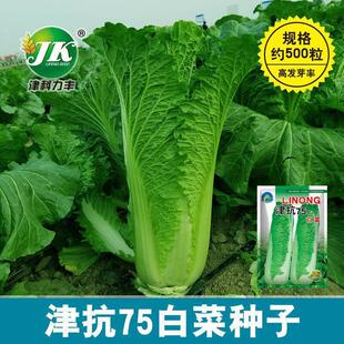 ����G75500 ����ԭ�b��ʰ�13cmX19cm��