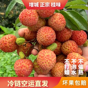 �������ǹ�ζ��֦���r��朰��]�Fժ�F�l�V�|Ŵ�������M��ˮ��
