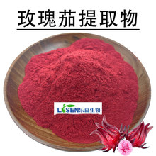 乐森供应规格齐全纯粉原料食品级花青素玫瑰茄粉玫瑰茄提取物