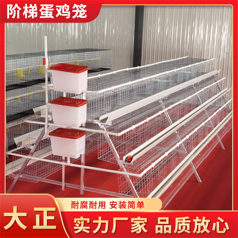 阶梯蛋鸡笼蛋鸡养殖笼 三层四门阶梯式蛋鸡笼自动化养鸡设备