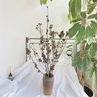 �������Ȼ�ɻ����l�ɘ�֦�Ҿ�ܛ�b���W�OӋ�廨�����ϵ����