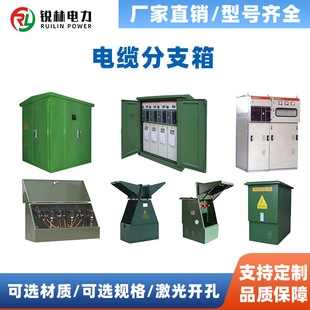 10Kv Cable Branch Box European American Style Box with Switch Box Medium and High Pressure Box Outdoor