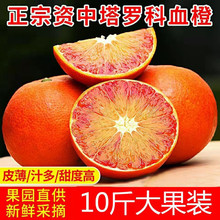 资中血橙10斤四川塔罗科当季新鲜水果红心玫瑰雪橙整箱大