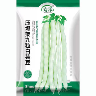 ������ܿ���N�ӷN���ݶ��Ǽܶ��ⶹ�����ļ����ļ�ժ�����ײ���