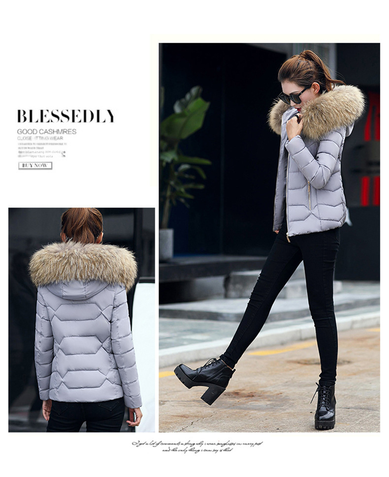 2022 Herbst und Winter Neue Mode kurze baumwollgefütterte Jacke Damen kleine baumwollgefütterte Jacke großer Kapuzenmantel warme baumwollgefütterte Jacke Tatsache_voghion.com